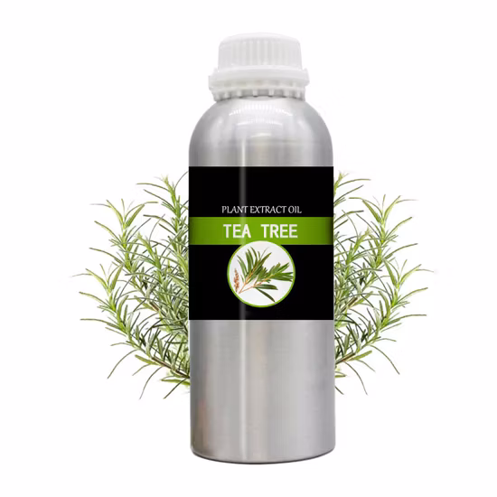 99% Materia prima Polvo natural BMK Aceite BMK CAS 20320